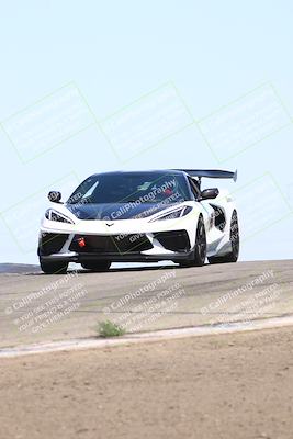 media/Jul-26-2025-Speed Ventures (Sat) [[fe569e6cf0]]/Black Group/Grapvine/